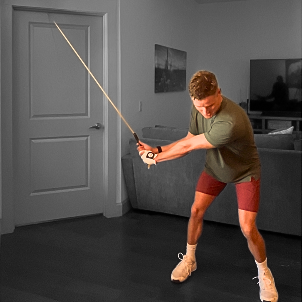 WHIPSPEED TRAINER